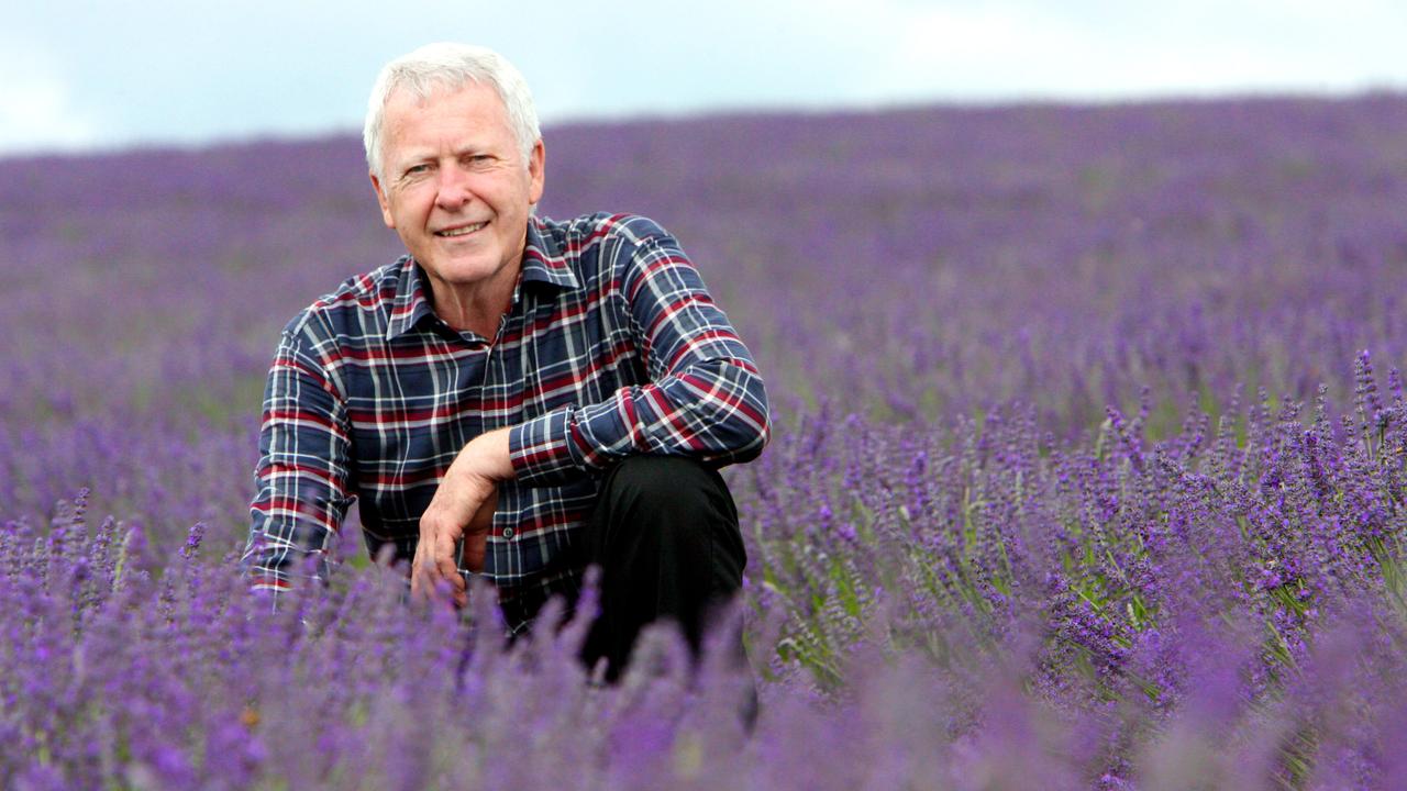 Bridestowe Lavender Estate at nabowla in North-East Tasmania, estate managing director Robert Ravens inspects the lavender. File picture