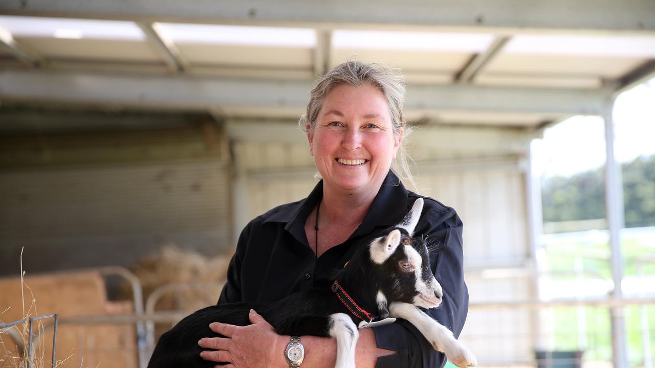 Pictures Of Purely Goats Milk At Nilma, West Gippsland 