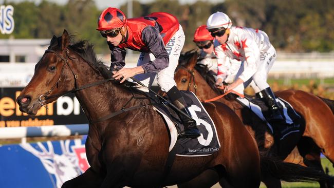 Berry Delicious looks better suited back to the mile on Saturday. Picture: Simon Bullard