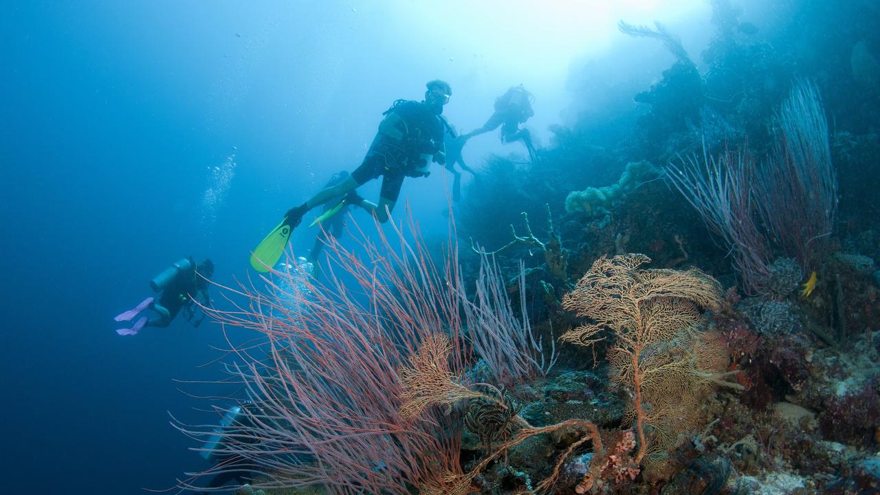 The Far Northern Reefs of the Great Barrier Reef are still in excellent condition. Picture: Seanna Cronin