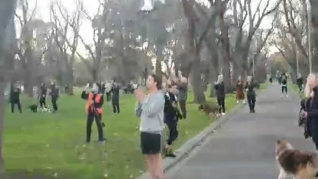 Dozens of people crowded around a large tree to watch a dramatic cat rescue in Fitzroy North. Pictures: Paul Shapiro