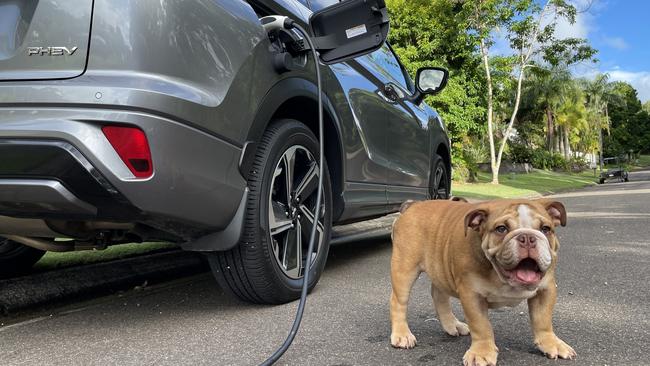 Sterling the bulldog with Mitsubishi's Eclipse Cross Plug-In Hybrid 2022 model.