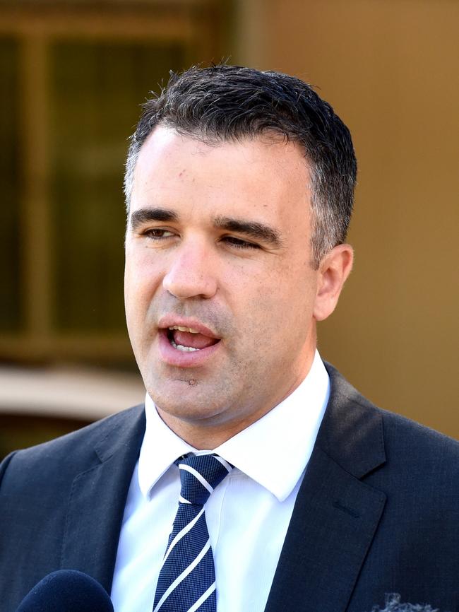 Mental Health and Substance Abuse Minister Peter Malinauskas. Picture: Sam Wundke