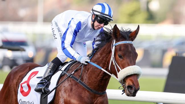 Mollynickers is the early favourite for the Group 2 Kewney Stakes. Picture: George Sal/Racing Photos via Getty Images