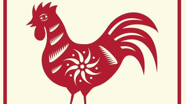 Roosters have considerable style and dignity. They enjoy company and conversation and are interested and informed about much.