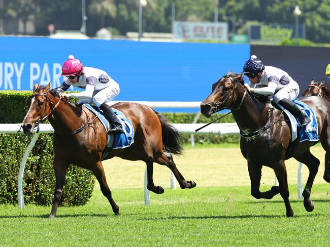 SYDNEY, AUSTRALIA - DECEMBER 14: Jason Collett riding Within The LawÃ¢â¬â¹ wins Race 5 Inglis Nursery during Sydney Racing at Royal Randwick Racecourse on December 14, 2024 in Sydney, Australia. (Photo by Jeremy Ng/Getty Images)