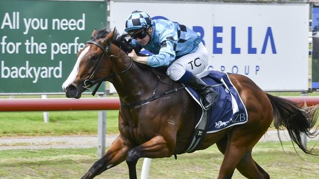 Blitzburg winning on debut at Newcastle. Picture: Bradley Photos