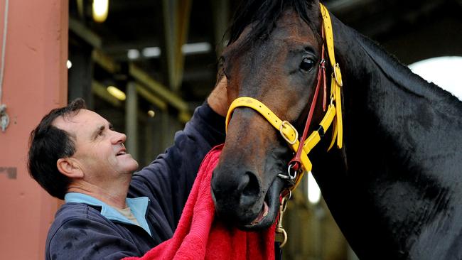 WA trainer Neville Parnham with Zipaway’s sire Playing God at Flemington back in 2011.