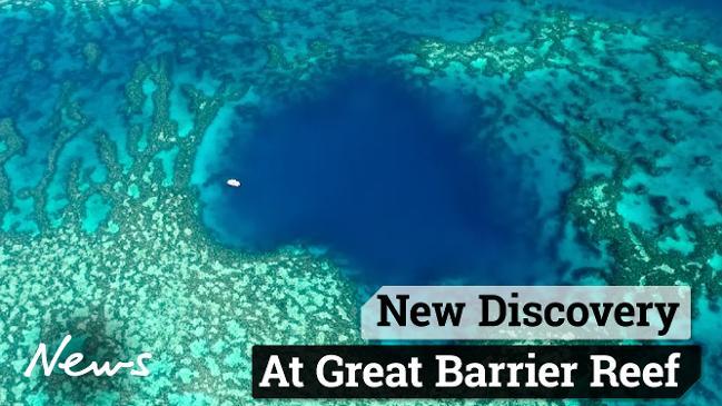 Marine Biologist makes amazing new discovery at Great Barrier Reef