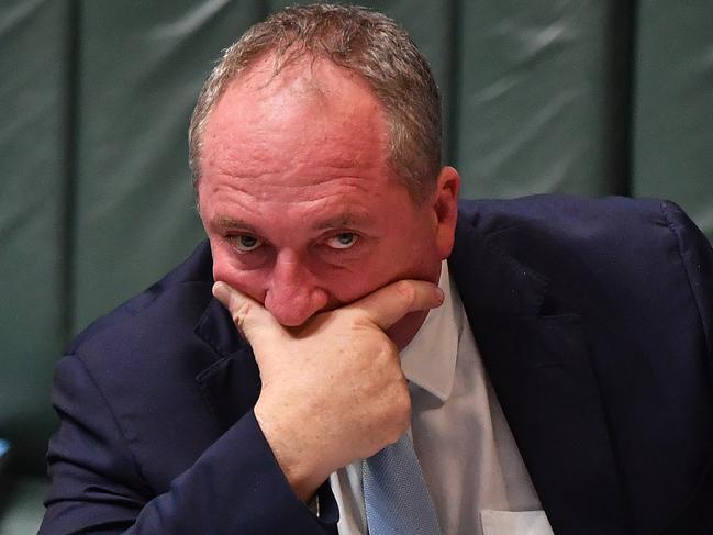 Deputy Prime Minister Barnaby Joyce has been described as an “embarrassment to the country”. Picture: Sam Mooy/Getty Images