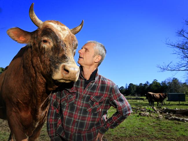 Anthony Walsgott from Save a cow sanctuary.  With Swifty the Jersey bull.  Jersey Bulls are considered to be agressive and have killed farmers but Anthony has a close relationship with these bulls he has rescued and hand raised.  Pic Megan Slade.