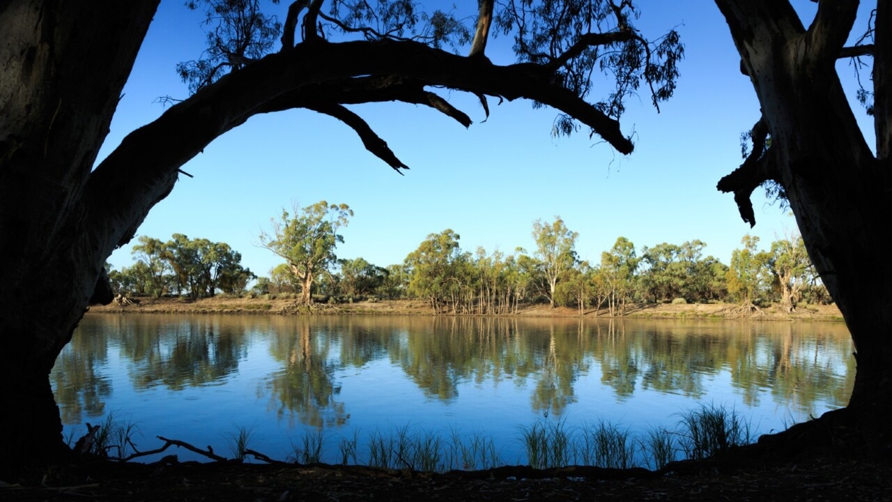 Murray Darling Basin A ‘terrific Step Forward’: Tanya Plibersek | The ...