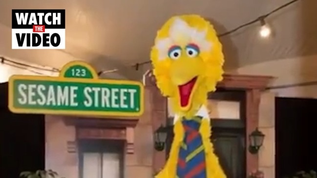 Big Bird goes missing (7 News)