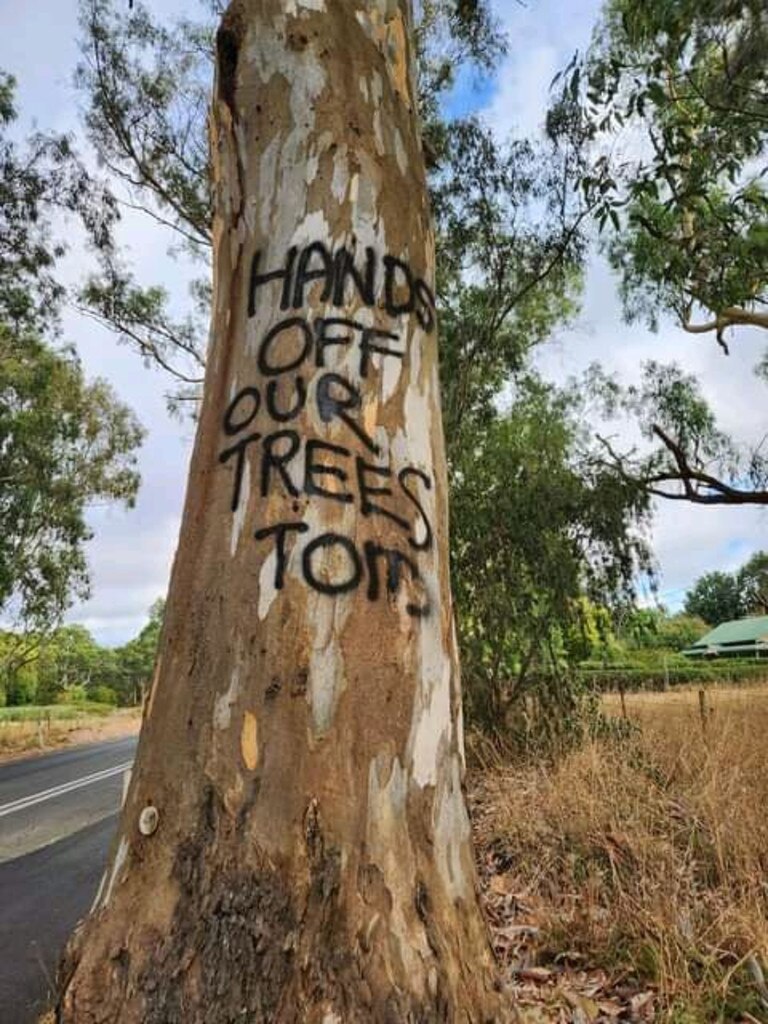 Adelaide Hills residents are fighting the Transport Department to save this tree along Strathalbyn Rd. Picture: Supplied