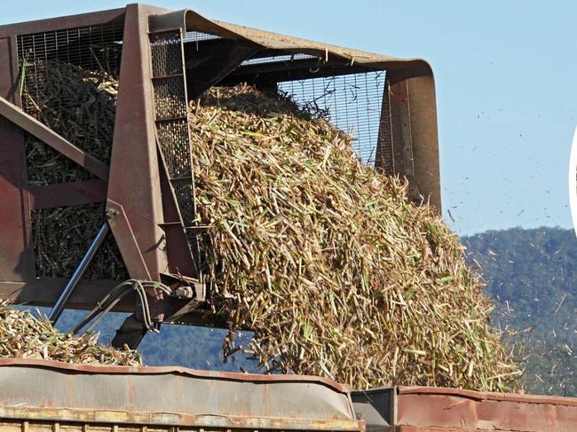 Mossman on ‘knife’s edge’ as sugar mill meeting draws hundreds