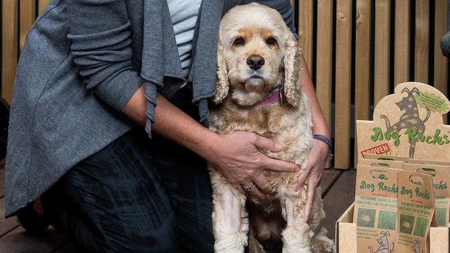 Rocks treat a wee dog worry | Herald Sun