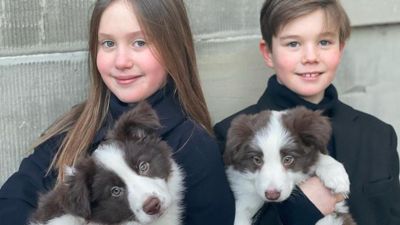 Twins Princess Josephine and Prince Vincent celebrated their 11th birthday in 2022 with some of the family’s fur babies. Picture: H.K.H. Kronprinsessen