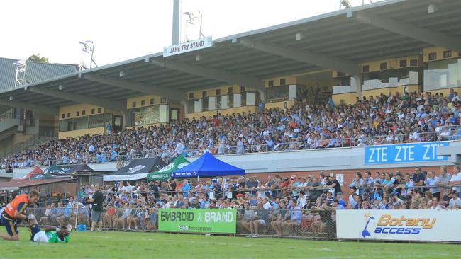 Part of the crowd at the Waratahs v Highlanders trial match at Brookvale Oval last season.