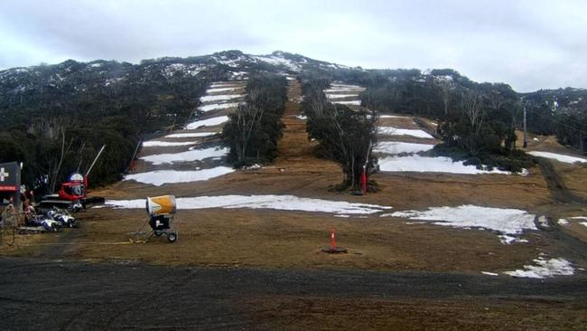 Livestream still of Merritts – Cruiser's Ballroom (left), Squatters Run (middle) and Walkabout (right) – three slopes at the Thredbo ski resort. Picture: ski.com.au