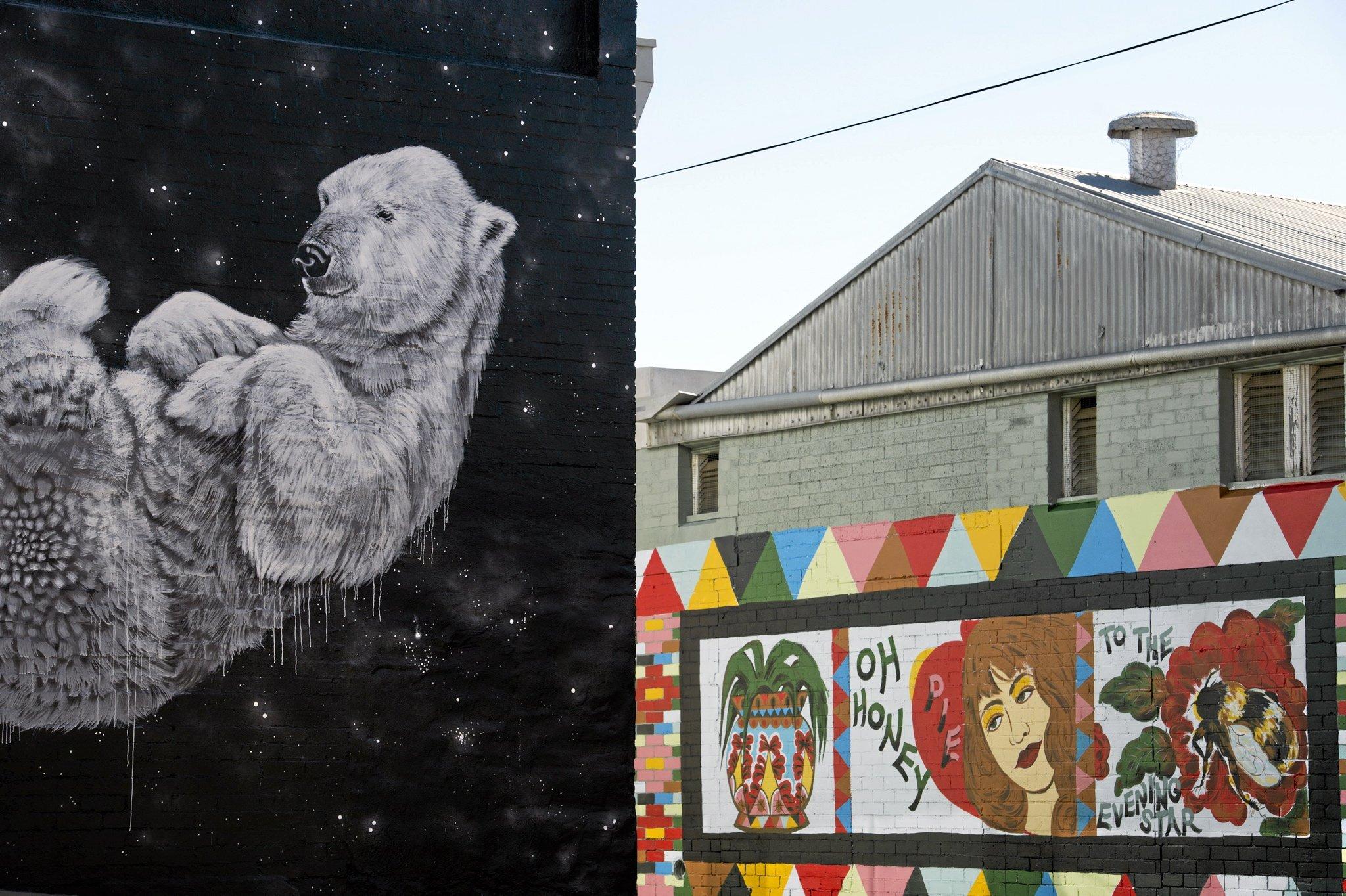 The work of Fuzeillear (left) and Melissa Grisancich are seen on buildings on the corner of Becker and Olcott Lns for First Coat, Monday, May 30, 2016. Picture: Kevin Farmer