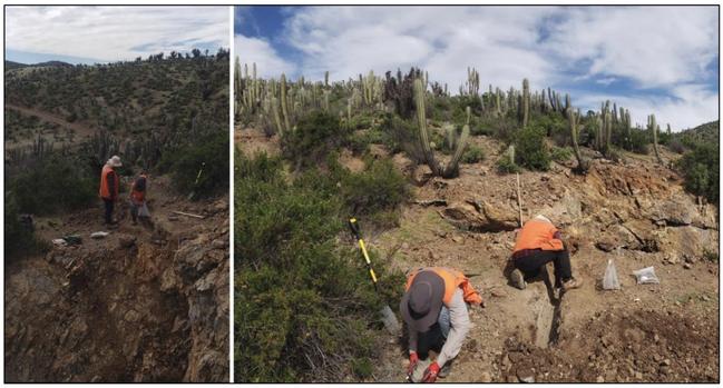 Trenching at an andesite outcrop. Pic: Culpeo Minerals