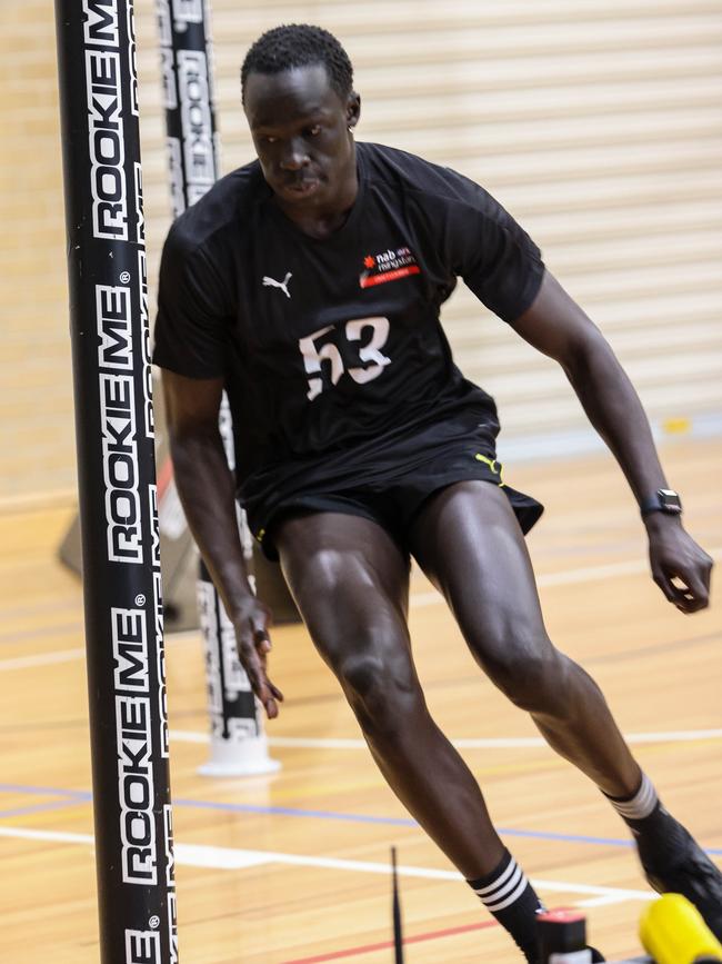 Photo of Leek Aleer in action during agility tests. Pictures/Russell Millard