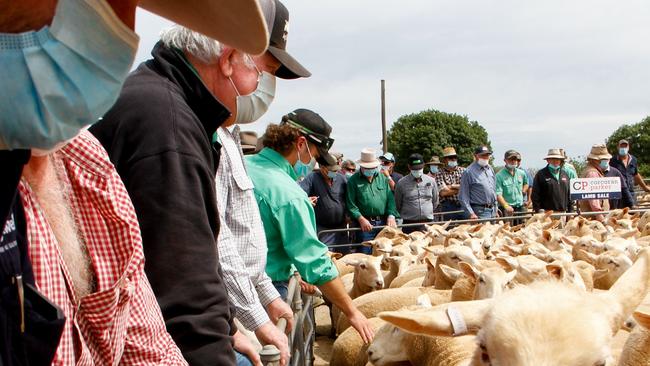 Buyers are being encouraged to think to upgrade to younger ewes at cheaper prices.