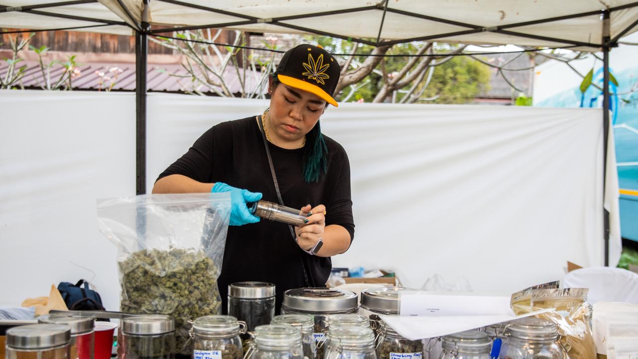 Marijuana dispensary workers grind cannabis flowers to make joints to sell to customers at the Thai High Convention in Chiang Mai, Thailand. Picture: Lauren DeCicca/Getty Images