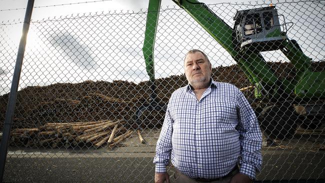 Forest Industries Association of Tasmania chief Terry Edwards said the state’s logging industry has made huge strides in sustainability. Picture Chris Kidd