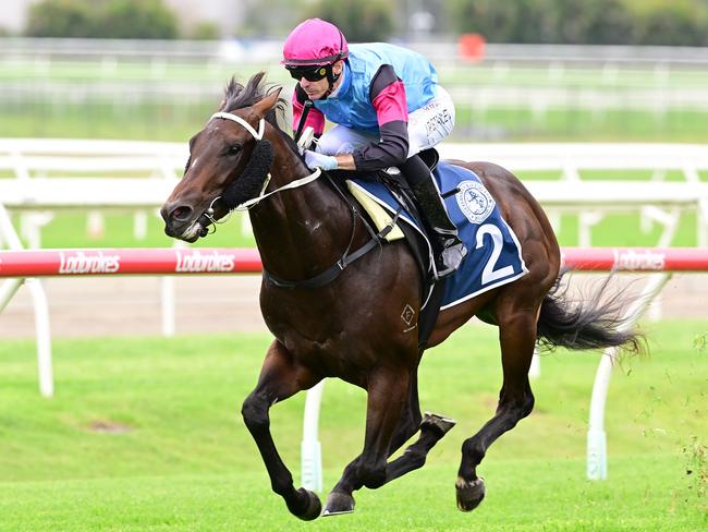 Astapor dashes clear to victory at Doomben for jockey Justin Stanley. Picture: Grant Peters - Trackside Photography