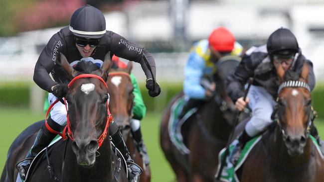 Sky Racing form analyst Paul Joice is a big fan of Fasika. Picture: AAP