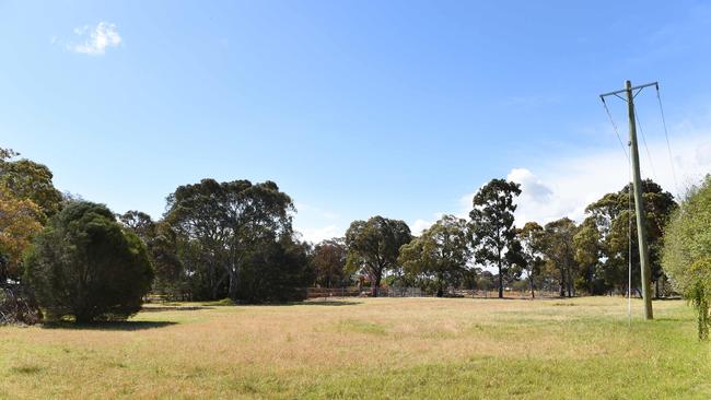 CSIRO Grassy Woodland site will be saved for conservation. Picture: Josie Hayden