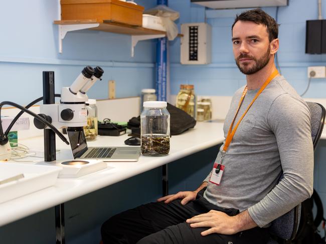 Reptile scientist and PhD candidate Jules Farquhar of Monash University is in Darwin to research the Six-toothed Rainbow Skink, which was brought from Arnhem Land almost 15 years ago. Picture: Pema Tamang Pakhrin