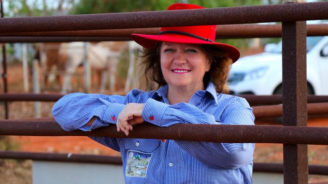 Gina Rinehart is listed as the Executive Chairman for S. Kidman and Co.