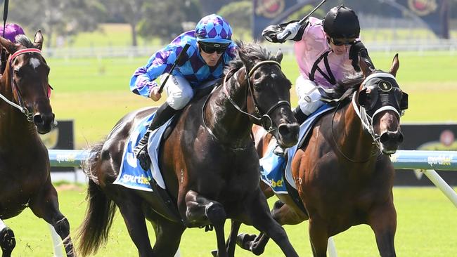 The Muffin Man has made the Queensland Derby field. Picture: Racing Photos via Getty Images