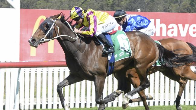 Outcast Girl is shooting for a hat-trick when she contests the Cessnock Cup. Picture: Bradley Photos