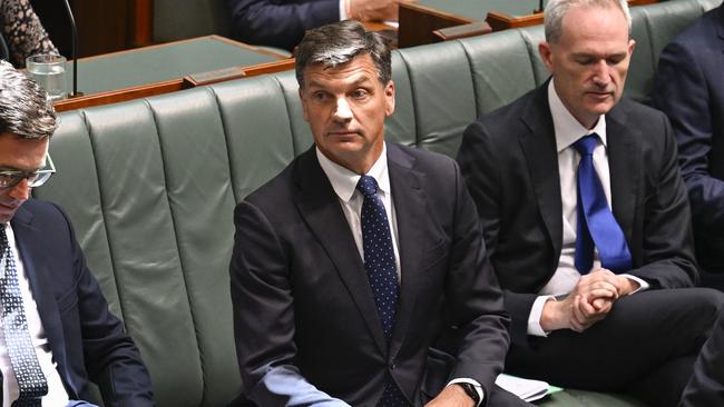 Shadow treasurer Angus Taylor clarified what was included in the plan. Picture: NewsWire / Martin Ollman