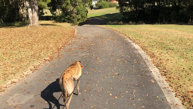 Enjoying Pleasant Parklands at Upper Coomera on the Gold Coast. Picture: Amanda Robbemond