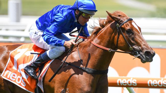 Damien Oliver and Picarones salute on Boxing Day. Picture: Getty Images