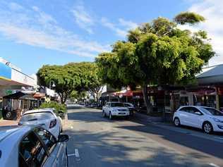 The fig trees that were removed from Bulcock St, Caloundra. Picture: Patrick Woods