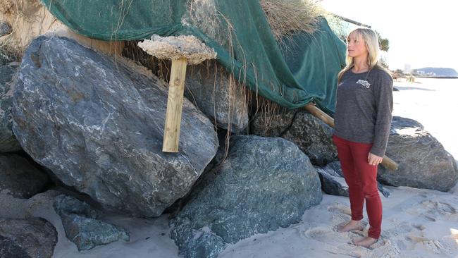 Sand erosion at Palm Beach after a king tide in 2012. Nikki Dee looks over the damage.