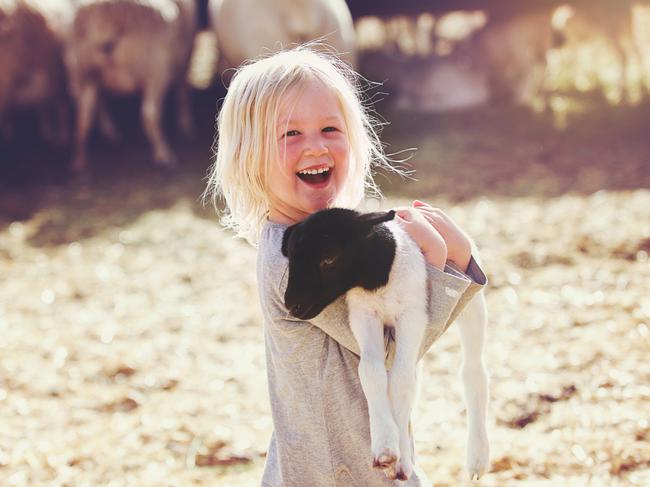 Children question where food comes from and some decide they would prefer not to eat meat.