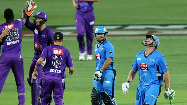 The Hurricanes celebrate the wicket of Adelaide Striker Craig Simmons in their last New Year’s Eve match back in 2014. Photo Sarah Reed.