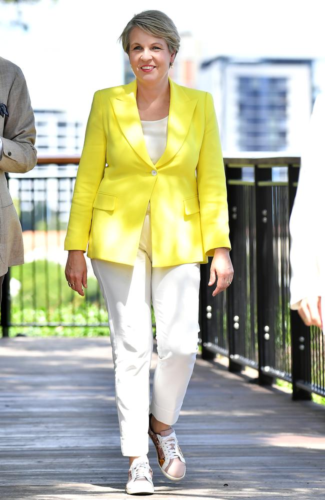 Shadow Minister for Education Tanya Plibersek. Picture: NCA NewsWire / John Gass