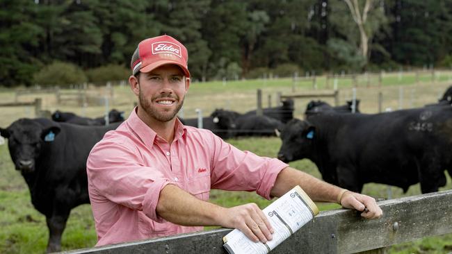 Ryan Sargeant of Elders Mansfield pictured at Kelly Angus sale. Picture: Zoe Phillips