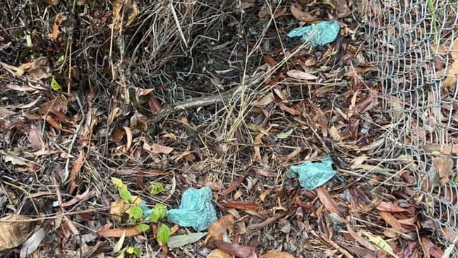 Bags of dog poo found along a popular walking spot near Arundel Drive in Arundel.