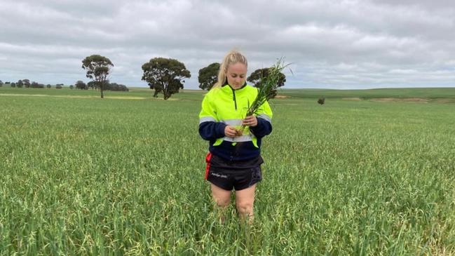 Netball player and fodder industry employee Lily Johnson of Horsham, Victoria. Picture: Supplied