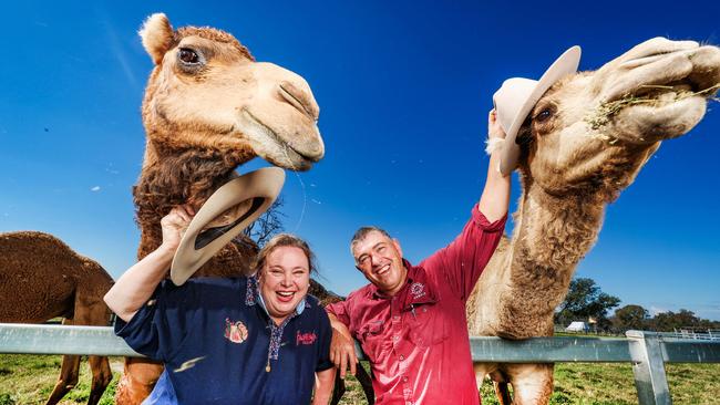 Kerri Brennan and Paul Martin from Summer Land Camels. Picture: Nigel Hallet