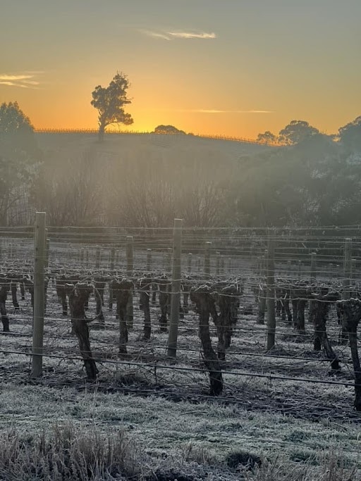 Frost in Gumeracha. Picture: Mell Melek