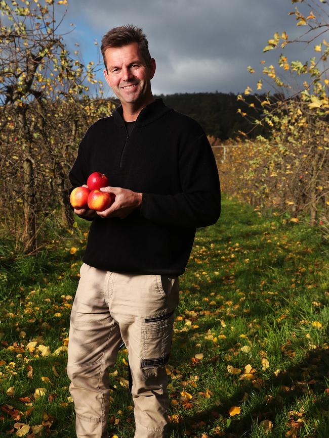 Andrew Smith of R&amp;R Smith with the new variety of apple yet to be named that has been created in partnership with Woolworths. Picture: Nikki Davis-Jones